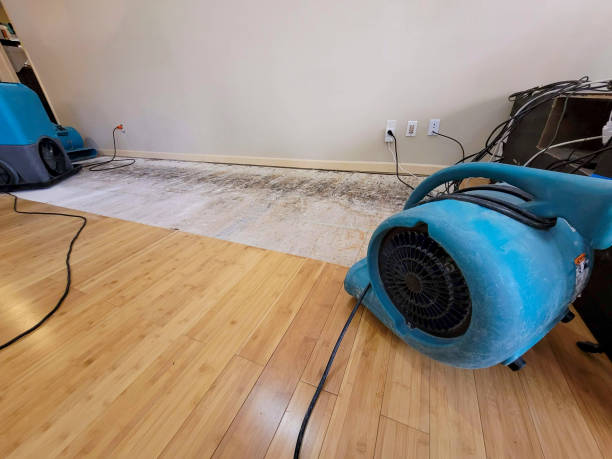 Professional Water Removal technician working in Broadbent, OR